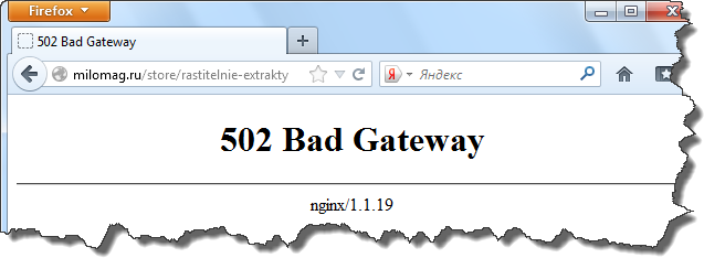 前端异常502badgateway的原因和解决办法