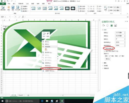 excel޸ıͼƬĺʳߴ磿