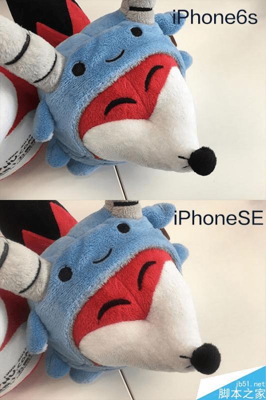 iPhoneSEiPhone6SĲģ