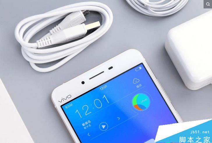 vivo X6S Plusϸ