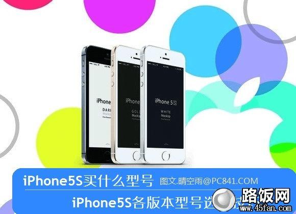 iPhone5Sʲôͺ iPhone5S汾ͺѡ