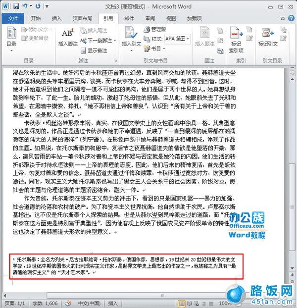 word 2010文档添加删除脚注和尾注的操作方法