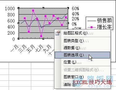 Excel2003ͬʱʾ2X