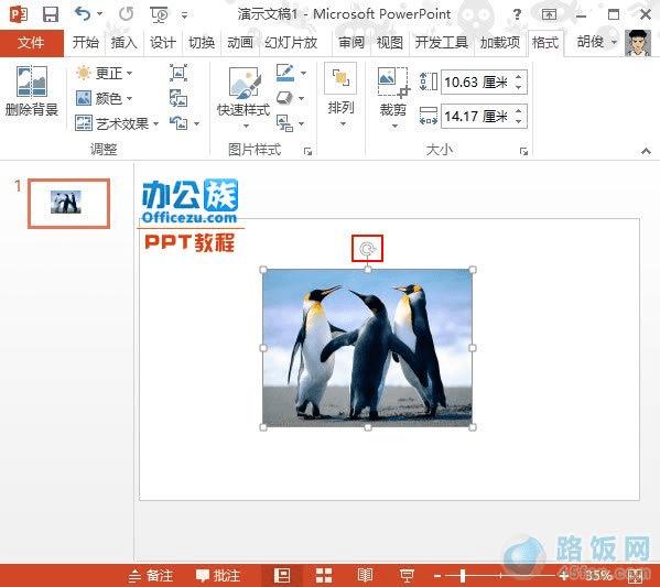 PowerPoint2013ͼƬбü