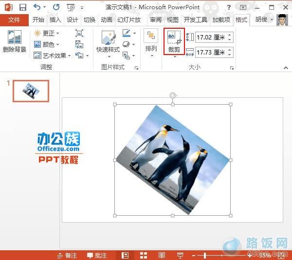 PowerPoint2013ͼƬбü