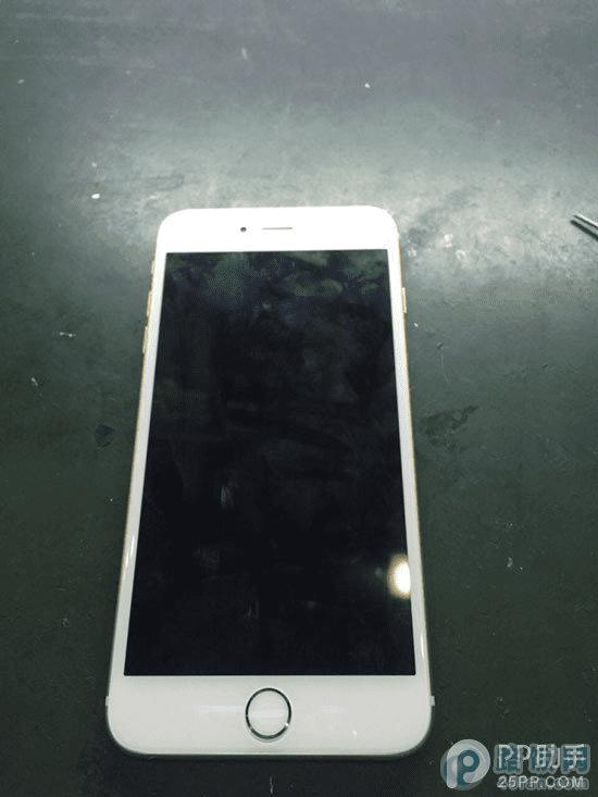 iPhone6 PlusĻ˲ ְֽά