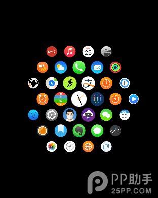 ʹApple watchϸ֪ʶ