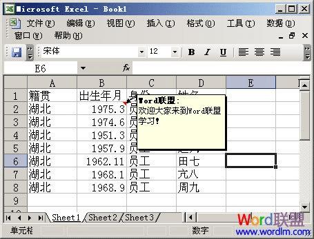 Excel2003ӵԪ