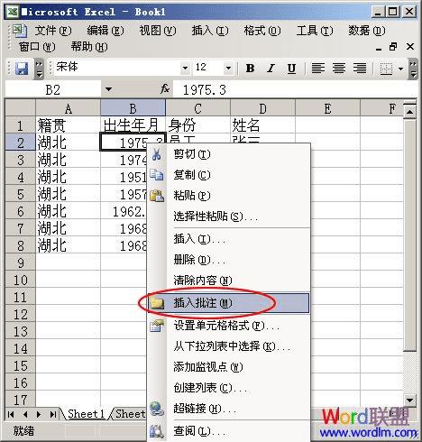 Excel2003ӵԪ