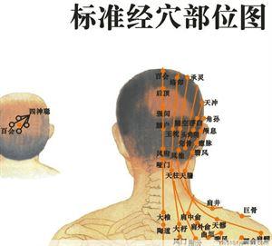 如何通过按摩穴位来治疗常见疾病? _ 路由器设