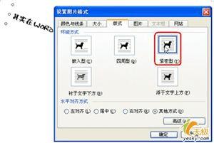 Word2003еת