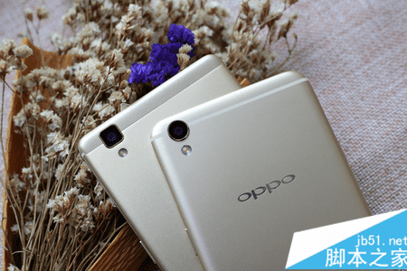 vivo x6s plusoppo r9ĸӺã