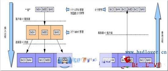 νMySQL⣿