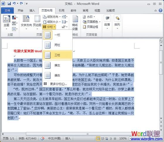 Word2010нзĲ