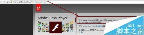 ôChromeShockwave FlashǱ⣿
