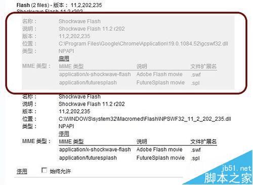 ôChromeShockwave FlashǱ⣿