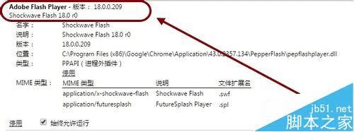 ôChromeShockwave FlashǱ⣿