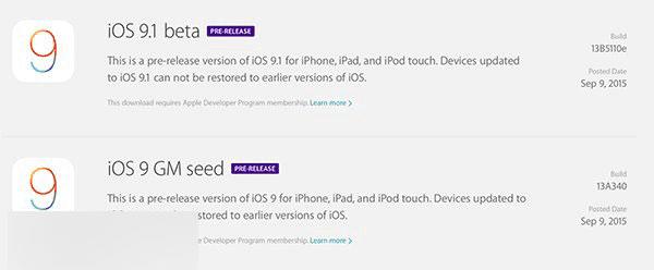 ƻiOS9.1 Beta1ٷַ̼