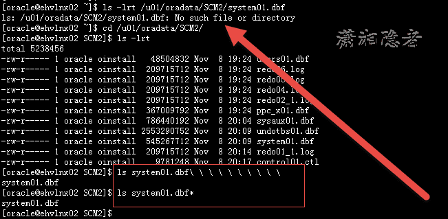 System01 dbf oracle что хранится